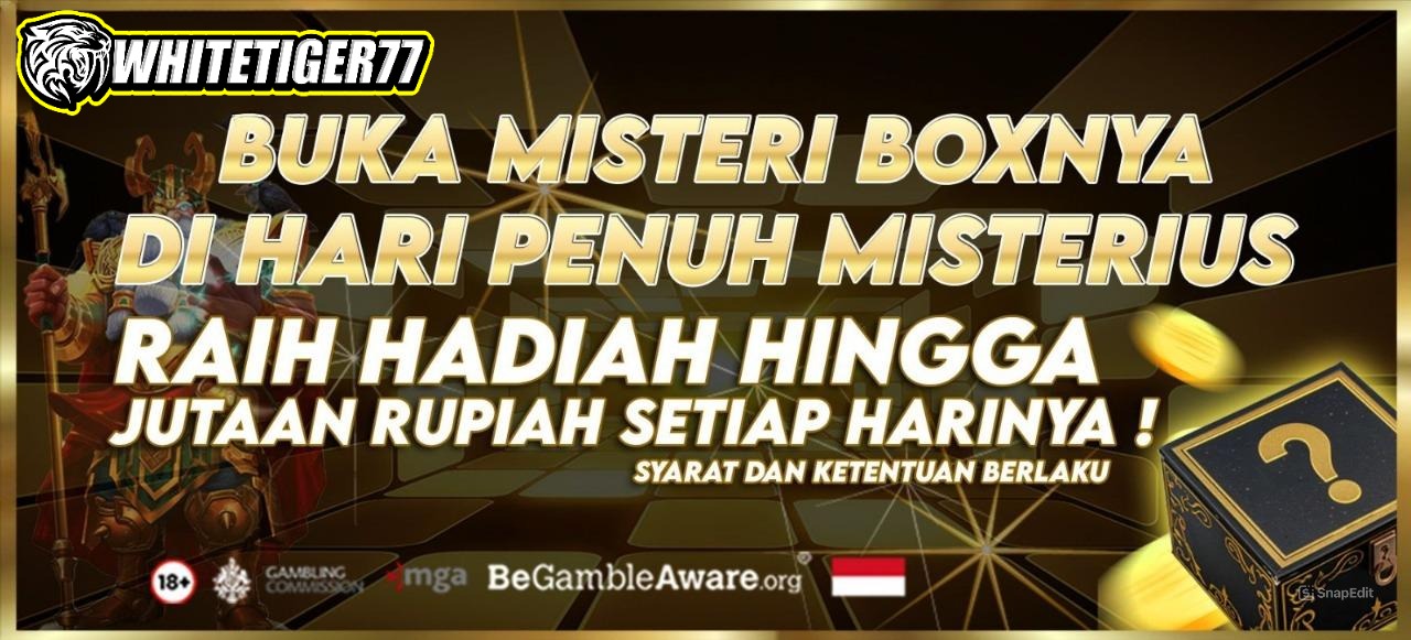 "MISTERI BOX"